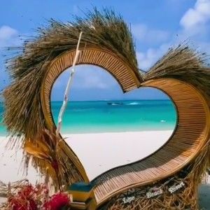 Meet your Posher, Tamara